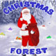 Christmas Forest