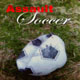 AssaultSoccer