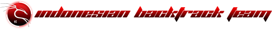 http://indonesianbacktrack.or.id/logo/logoibt.png